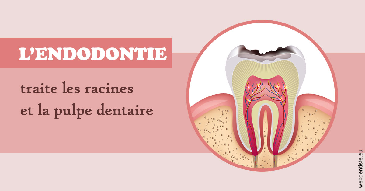 https://dr-olivier-pilz.chirurgiens-dentistes.fr/L'endodontie 2