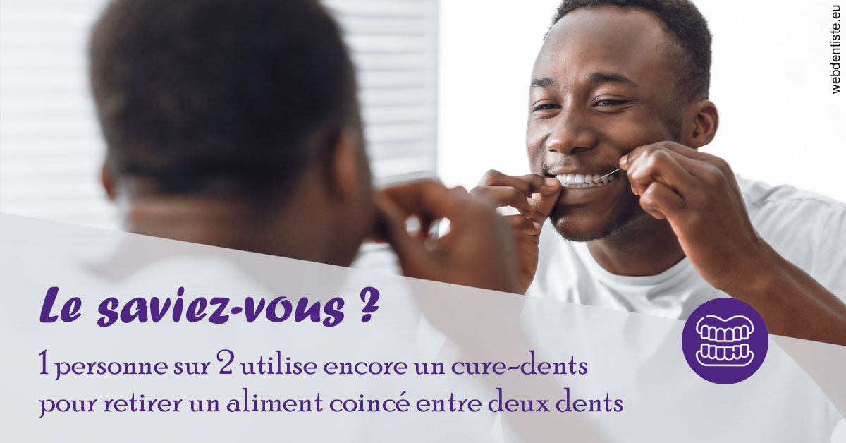 https://dr-olivier-pilz.chirurgiens-dentistes.fr/Cure-dents 2