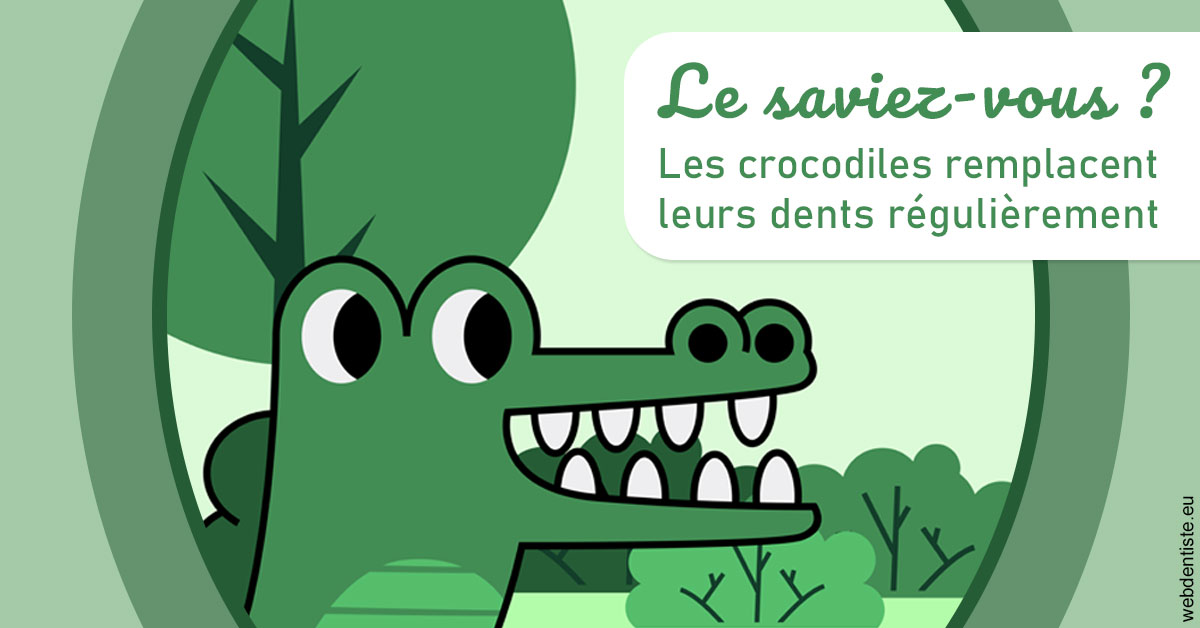 https://dr-olivier-pilz.chirurgiens-dentistes.fr/Crocodiles 2