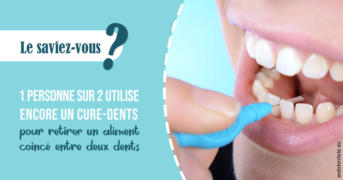 https://dr-olivier-pilz.chirurgiens-dentistes.fr/Cure-dents 1